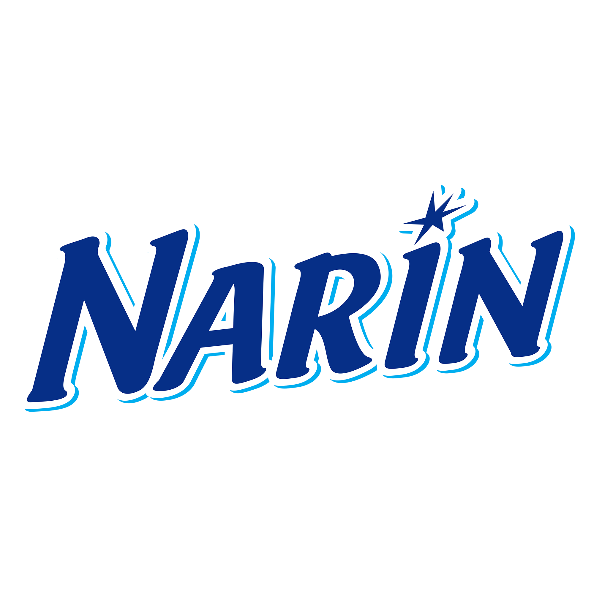Narin| Kaşar Peynirler ve Dilimli Kaşar Tost peynirleri